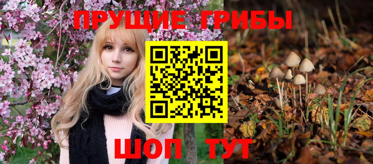 Усинск  Псилоцибиновые грибы GOLDEN TEACHER  Вход с VPN 