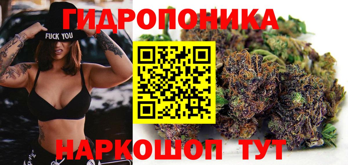 Марихуана тримм  Каннабис сатива  Вход с VPN  Усинск  Канабис конопля  Каннабис планчик 